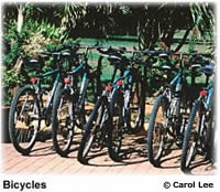 bicycles.jpg (22734 bytes)