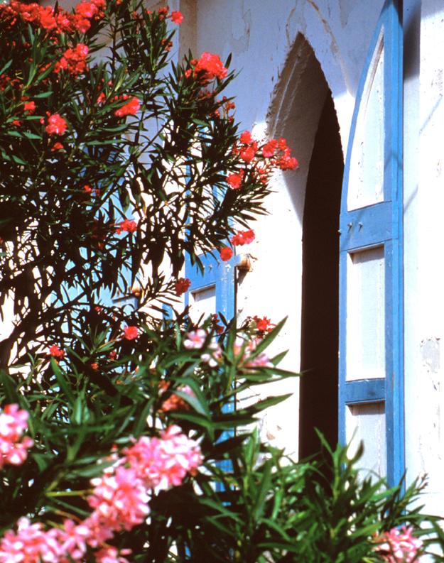 beaches,weddings,honeymoons,watersports,festivals,romance,accommodations,cuisine,sea,scuba diving,snorkelling,security,tranquility,beaches,caribbean,carnivals,inns,security,sightseeing,oceans,villas,exclusive,luxury,guesthouses,tranquility,quality,boatracing,charters