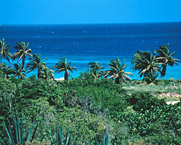 beaches,weddings,honeymoons,watersports,festivals,romance,accommodations,cuisine,sea,scuba diving,snorkelling,security,tranquility,beaches,caribbean,carnivals,inns,security,sightseeing,oceans,villas,exclusive,luxury,guesthouses,tranquility,quality,boatracing,charters