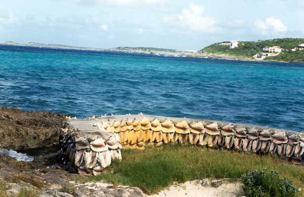 beaches,weddings,honeymoons,watersports,festivals,romance,accommodations,cuisine,sea,scuba diving,snorkelling,security,tranquility,beaches,caribbean,carnivals,inns,security,sightseeing,oceans,villas,exclusive,luxury,guesthouses,tranquility,quality,boatracing,charters