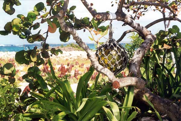 beaches,weddings,honeymoons,watersports,festivals,romance,accommodations,cuisine,sea,scuba diving,snorkelling,security,tranquility,beaches,caribbean,carnivals,inns,security,sightseeing,oceans,villas,exclusive,luxury,guesthouses,tranquility,quality,boatracing,charters