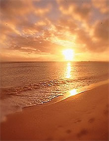 beaches,weddings,honeymoons,watersports,festivals,romance,accommodations,cuisine,sea,scuba diving,snorkelling,security,tranquility,beaches,caribbean,carnivals,inns,security,sightseeing,oceans,villas,exclusive,luxury,guesthouses,tranquility,quality,boatracing,charters