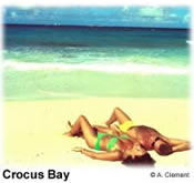 beaches,weddings,honeymoons,watersports,festivals,romance,accommodations,cuisine,sea,scuba diving,snorkelling,security,tranquility,beaches,caribbean,carnivals,inns,security,sightseeing,oceans,villas,exclusive,luxury,guesthouses,tranquility,quality,boatracing,charters