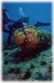 beaches,weddings,honeymoons,watersports,festivals,romance,accommodations,cuisine,sea,scuba diving,snorkelling,security,tranquility,beaches,caribbean,carnivals,inns,security,sightseeing,oceans,villas,exclusive,luxury,guesthouses,tranquility,quality,boatracing,charters