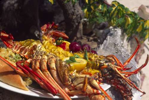beaches,weddings,honeymoons,watersports,festivals,romance,accommodations,cuisine,sea,scuba diving,snorkelling,security,tranquility,beaches,caribbean,carnivals,inns,security,sightseeing,oceans,villas,exclusive,luxury,guesthouses,tranquility,quality,boatracing,charters