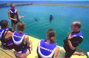 beaches,weddings,honeymoons,watersports,festivals,romance,accommodations,cuisine,sea,scuba diving,snorkelling,security,tranquility,beaches,caribbean,carnivals,inns,security,sightseeing,oceans,villas,exclusive,luxury,guesthouses,tranquility,quality,boatracing,charters