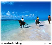 horsebackriding.jpg (13733 bytes)