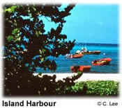 beaches,weddings,honeymoons,watersports,festivals,romance,accommodations,cuisine,sea,scuba diving,snorkelling,security,tranquility,beaches,caribbean,carnivals,inns,security,sightseeing,oceans,villas,exclusive,luxury,guesthouses,tranquility,quality,boatracing,charters