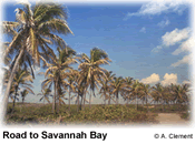 beaches,weddings,honeymoons,watersports,festivals,romance,accommodations,cuisine,sea,scuba diving,snorkelling,security,tranquility,beaches,caribbean,carnivals,inns,security,sightseeing,oceans,villas,exclusive,luxury,guesthouses,tranquility,quality,boatracing,charters