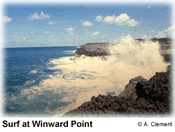 beaches,weddings,honeymoons,watersports,festivals,romance,accommodations,cuisine,sea,scuba diving,snorkelling,security,tranquility,beaches,caribbean,carnivals,inns,security,sightseeing,oceans,villas,exclusive,luxury,guesthouses,tranquility,quality,boatracing,charters