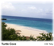 beaches,weddings,honeymoons,watersports,festivals,romance,accommodations,cuisine,sea,scuba diving,snorkelling,security,tranquility,beaches,caribbean,carnivals,inns,security,sightseeing,oceans,villas,exclusive,luxury,guesthouses,tranquility,quality,boatracing,charters