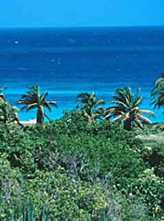 beaches,weddings,honeymoons,watersports,festivals,romance,accommodations,cuisine,sea,scuba diving,snorkelling,security,tranquility,beaches,caribbean,carnivals,inns,security,sightseeing,oceans,villas,exclusive,luxury,guesthouses,tranquility,quality,boatracing,charters