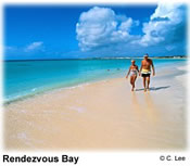 beaches,weddings,honeymoons,watersports,festivals,romance,accommodations,cuisine,sea,scuba diving,snorkelling,security,tranquility,beaches,caribbean,carnivals,inns,security,sightseeing,oceans,villas,exclusive,luxury,guesthouses,tranquility,quality,boatracing,charters