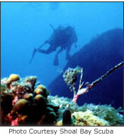 beaches,weddings,honeymoons,watersports,festivals,romance,accommodations,cuisine,sea,scuba diving,snorkelling,security,tranquility,beaches,caribbean,carnivals,inns,security,sightseeing,oceans,villas,exclusive,luxury,guesthouses,tranquility,quality,boatracing,charters