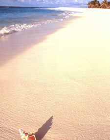 beaches,weddings,honeymoons,watersports,festivals,romance,accommodations,cuisine,sea,scuba diving,snorkelling,security,tranquility,beaches,caribbean,carnivals,inns,security,sightseeing,oceans,villas,exclusive,luxury,guesthouses,tranquility,quality,boatracing,charters