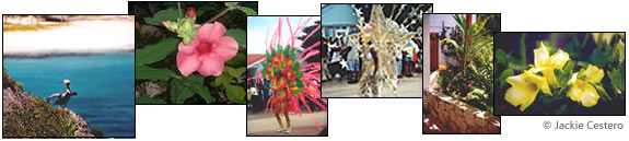 Sights of Anguilla