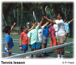 tennislesson.jpg (18758 bytes)