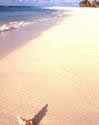 beaches,weddings,honeymoons,watersports,festivals,romance,accommodations,cuisine,sea,scuba diving,snorkelling,security,tranquility,beaches,caribbean,carnivals,inns,security,sightseeing,oceans,villas,exclusive,luxury,guesthouses,tranquility,quality,boatracing,charters