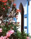 beaches,weddings,honeymoons,watersports,festivals,romance,accommodations,cuisine,sea,scuba diving,snorkelling,security,tranquility,beaches,caribbean,carnivals,inns,security,sightseeing,oceans,villas,exclusive,luxury,guesthouses,tranquility,quality,boatracing,charters