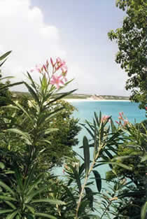 beaches,weddings,honeymoons,watersports,festivals,romance,accommodations,cuisine,sea,scuba diving,snorkelling,security,tranquility,beaches,caribbean,carnivals,inns,security,sightseeing,oceans,villas,exclusive,luxury,guesthouses,tranquility,quality,boatracing,charters
