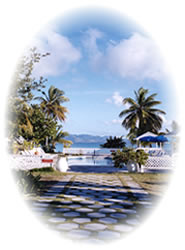 beaches,weddings,honeymoons,watersports,festivals,romance,accommodations,cuisine,sea,scuba diving,snorkelling,security,tranquility,beaches,caribbean,carnivals,inns,security,sightseeing,oceans,villas,exclusive,luxury,guesthouses,tranquility,quality,boatracing,charters