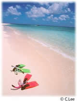 watersports.jpg (10583 bytes)